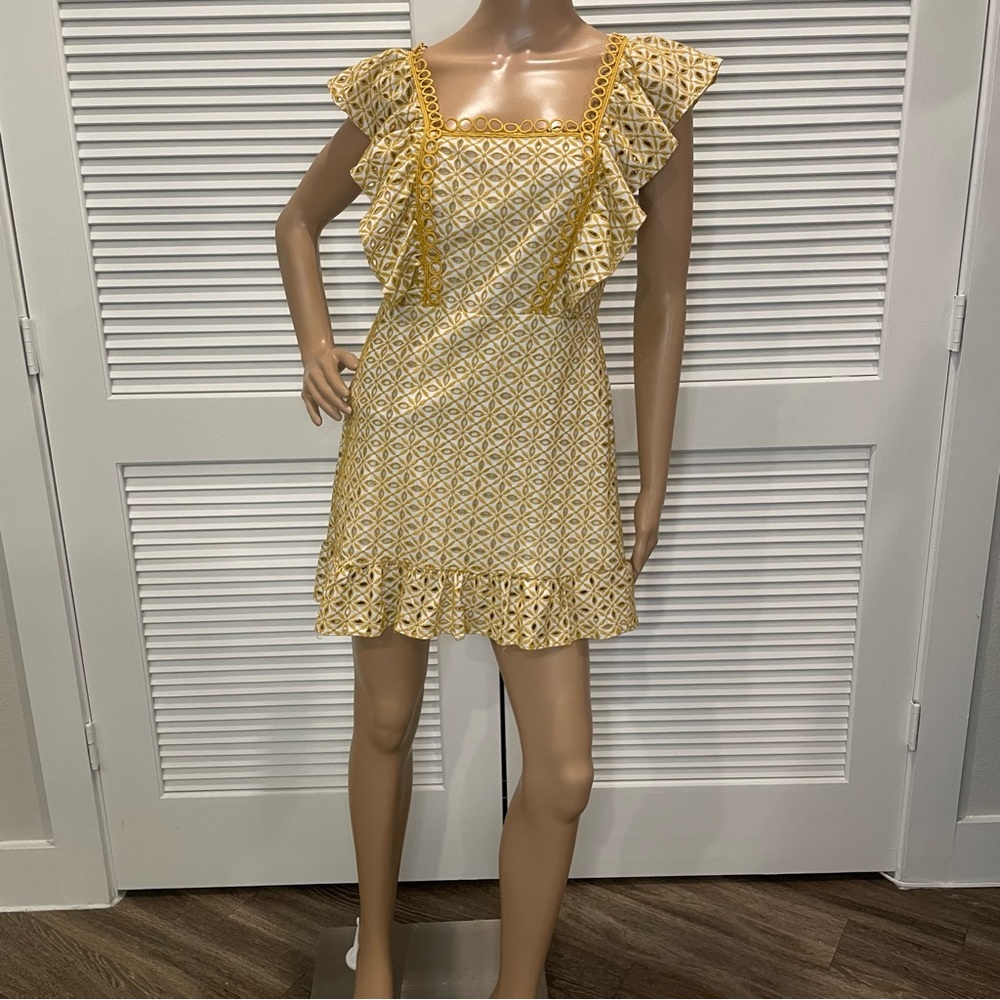 Yellow Embroidered Ruffle Dress - Picture 5 of 5